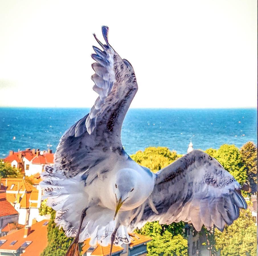 Pokoje Przy Plazy Z Widokiem Na Morze Apartment Sopot Exterior foto