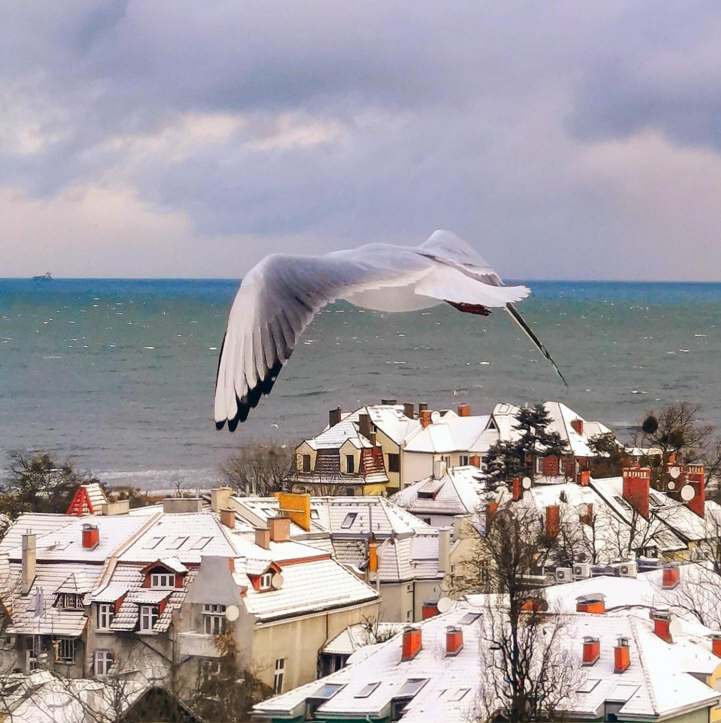 Pokoje Przy Plazy Z Widokiem Na Morze Apartment Sopot Exterior foto