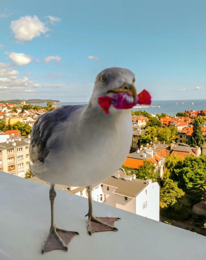 Pokoje Przy Plazy Z Widokiem Na Morze Apartment Sopot Exterior foto